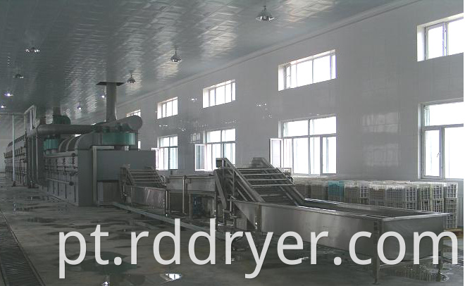 Mushroom Dryer Machine/drying machine